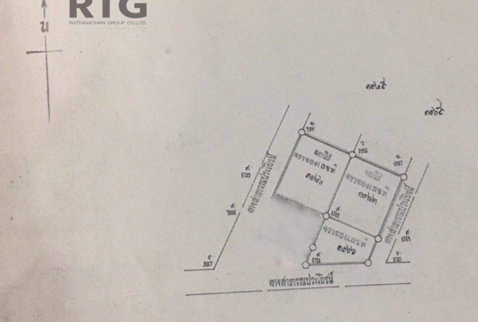 S__37535754