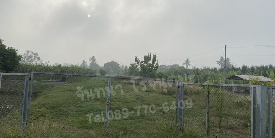 ขายที่ดิน 19-3-24.9 ไร่ สวนผลไม้ อ.สามพราน จ.นครปฐม ที่ดินแปลงสวย ล้อมรั้ว ปลูกฝรั่ง มะม่วง มะพร้าว มีบ่อปลา บ้านพัก เหมาะแก่การลงทุน ฯลฯ
