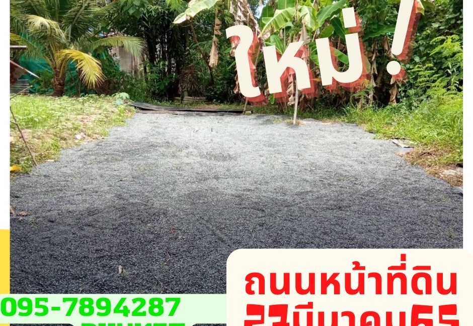 2ถนนหน้าที่ดิน