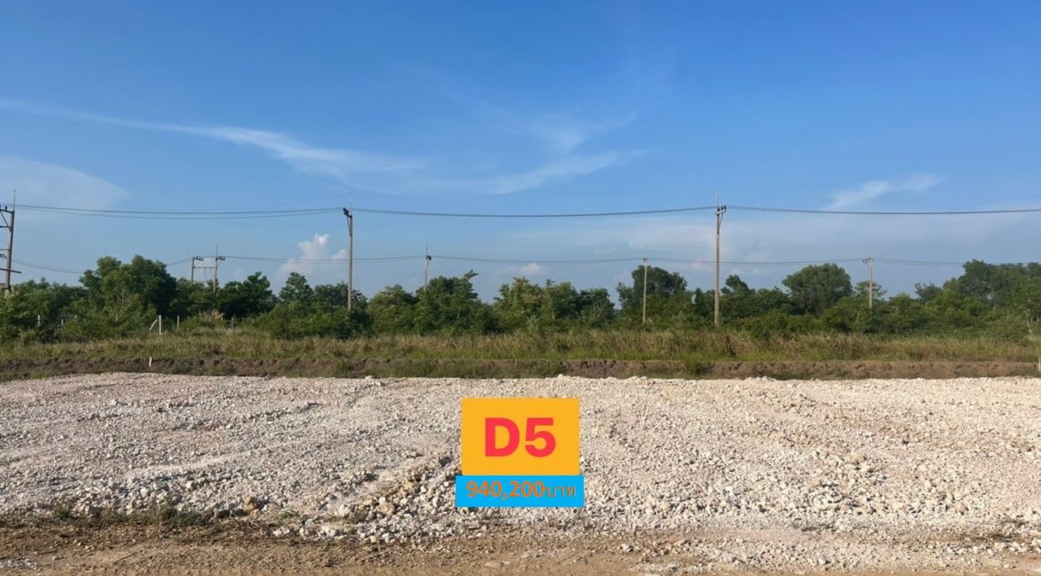 D5