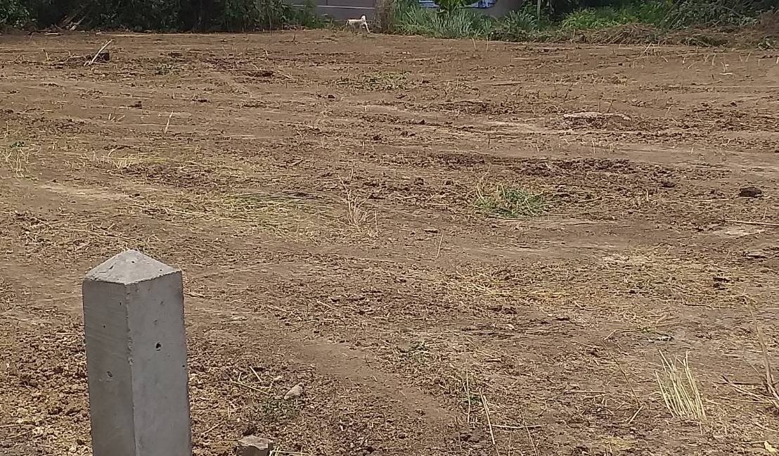 S__41336859