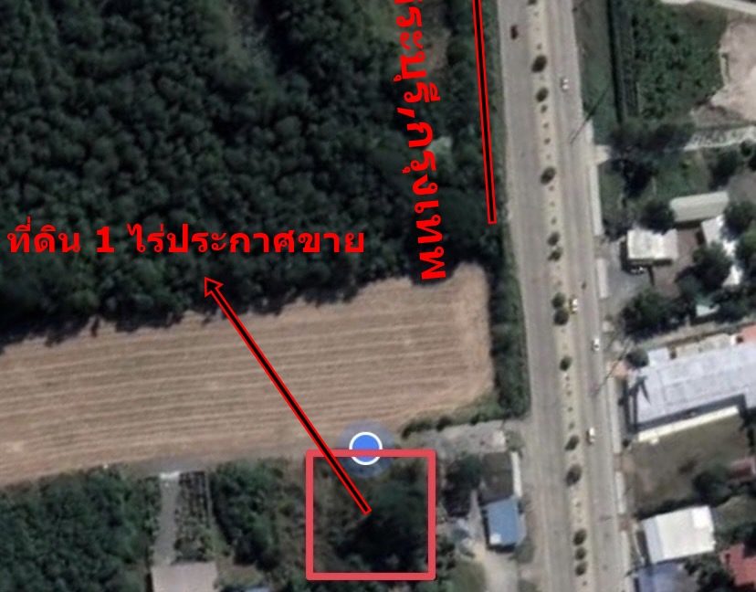 S__41336865