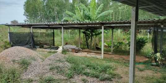บ้านใหม่ชั้นเดียวโมเดินสไตล์กลิ่นไอบ้านสวน ต.หนองตากยา อ.ท่าม่วง จ.กาญจนบุรี