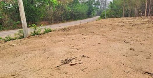 ขายที่ดินลำปาง 60-180 ตรว. ตำบลพิชัย บ้านไร่พัฒนา เมืองลำปาง ด้านหลังติดลำห้วย