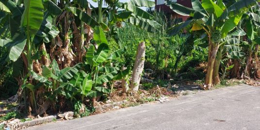 ขายที่ดิน 184ตร.วา แถวปทุมธานี ซ.ธรรมสุธี14 หน้ากว้างสวย ติดถนน ใกล้Big C เจ้าของขายเอง