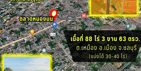 ขายที่ดินสวย ทำเลทอง แปลงใหญ่ ใจกลางเมือง จ.ชลบุรี