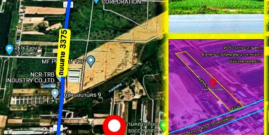 ขายที่ดินสวย ขายที่ดินนิคมพัฒนา ใกล้นิคมอุตสาหกรรม WHA36