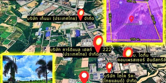 ขายที่ดินระยอง ใจกลางนิคมอุตสาหกรรม อมตะ ซิตี้