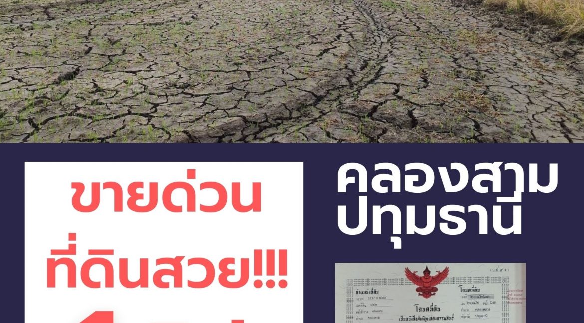 Brown Dry Land World Day to Combat Desertification Poster (1)