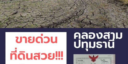 ขายที่ดินคลอง 3 จำนวน 1 ไร่ ราคาถูกมาก