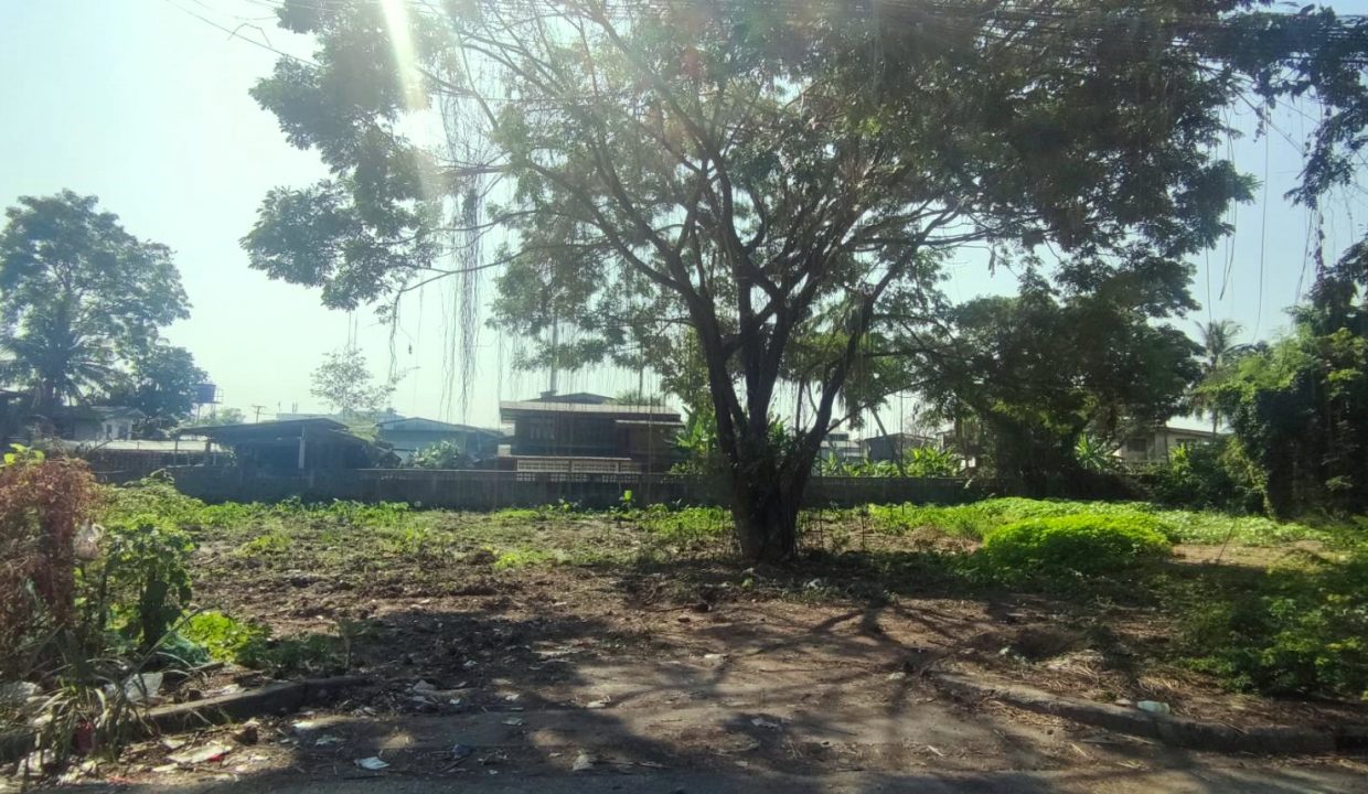 297027pic2