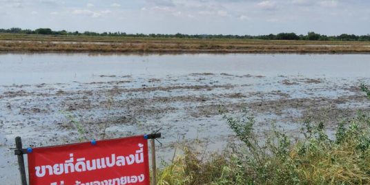 ขายที่ดิน(ยังไม่ถม มีถนนตัดผ่าน) 4 ไร่ คลอง 23 อ.องครักษ์ จ.นครนายก