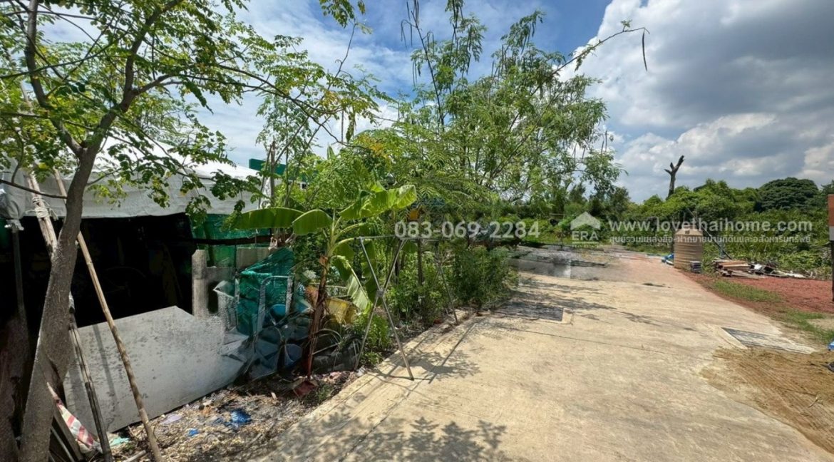 Kusang4