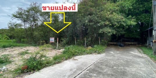 ขายที่ดิน ชัยพฤกษ์ บางนา-ตราด กม.18 สมุทรปราการ ประเมินวาละ22,000 ขายเพียงวาละ13,000