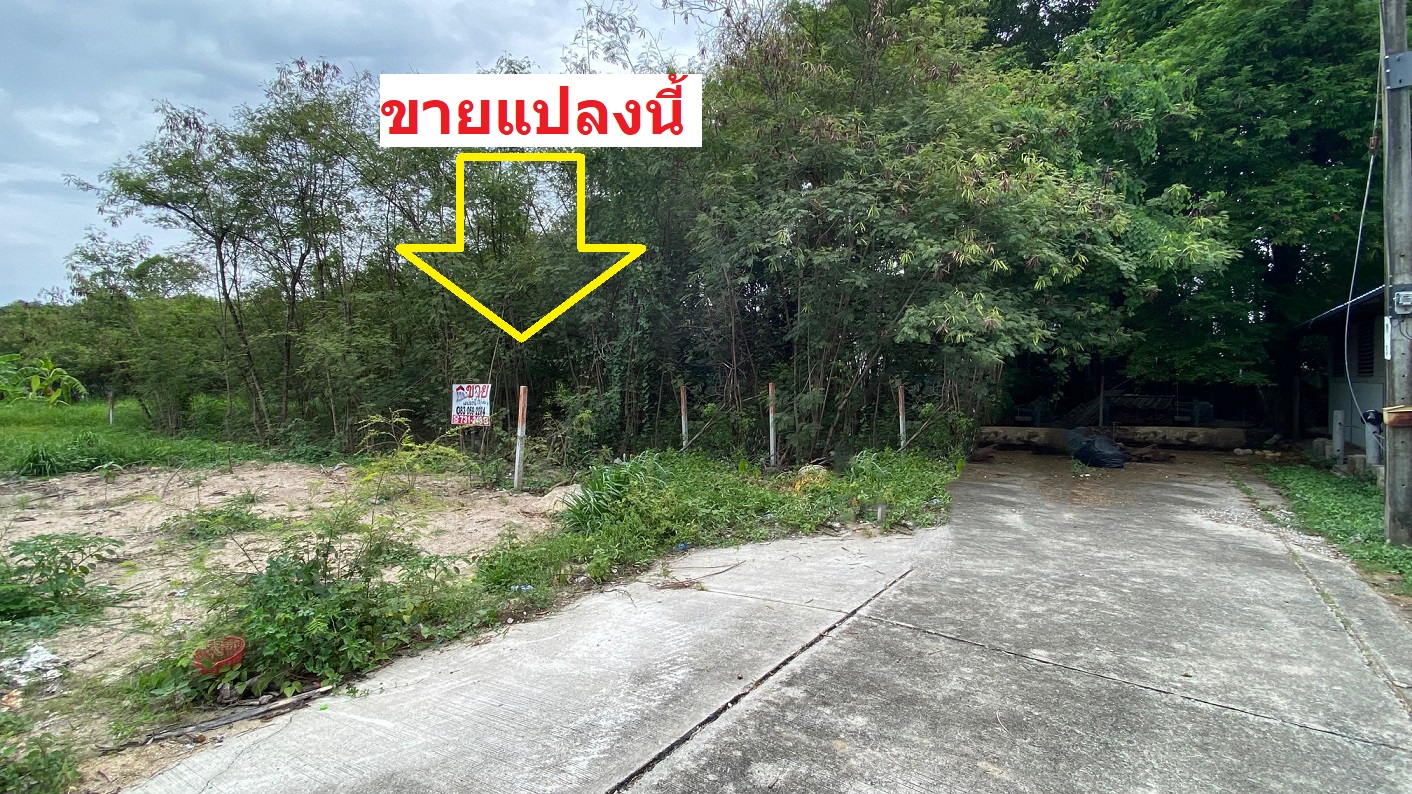 ขายที่ดิน ชัยพฤกษ์ บางนา-ตราด กม.18 สมุทรปราการ ประเมินวาละ22,000 ขายเพียงวาละ13,000